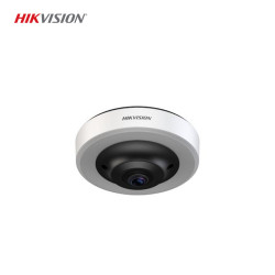 Hikvision DS-TCPC06 12MP Fisheye Park Kamerası